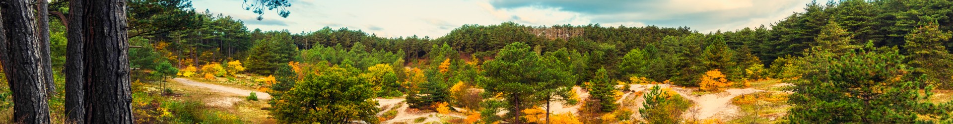 Duinen