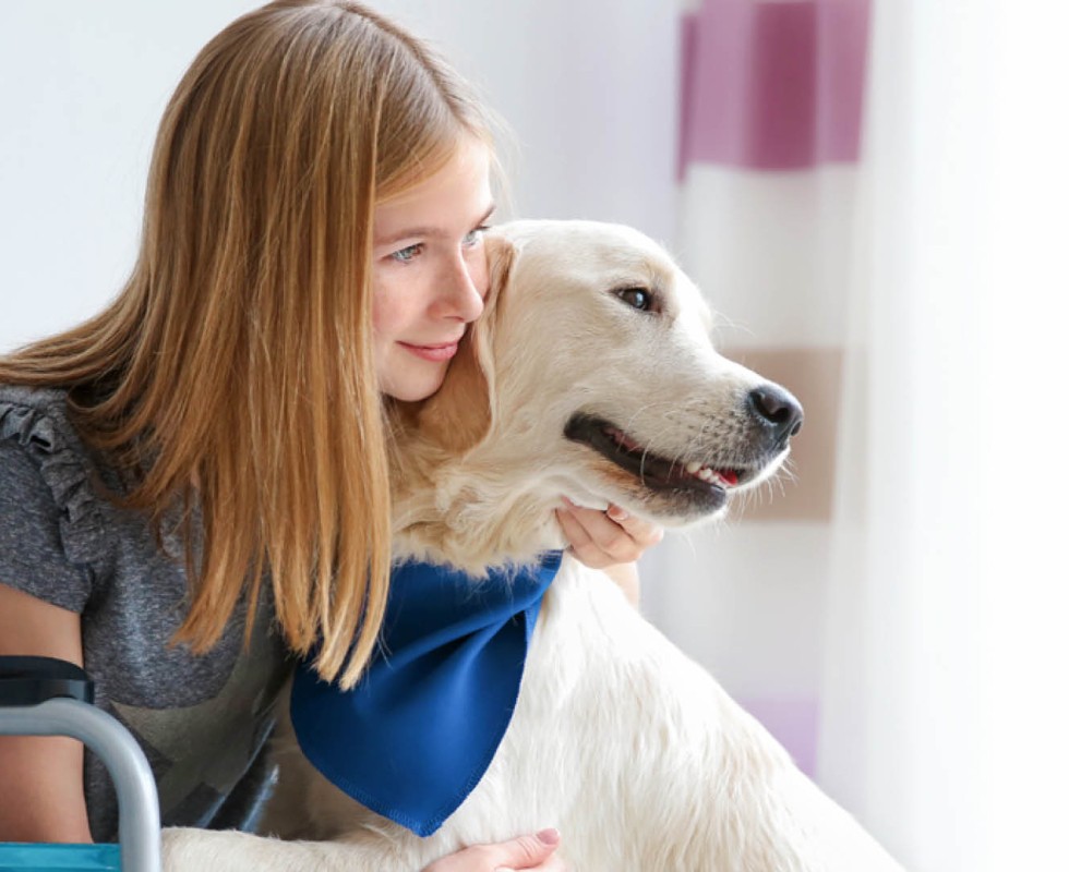 Stockfoto - De Egmonden(1).jpg