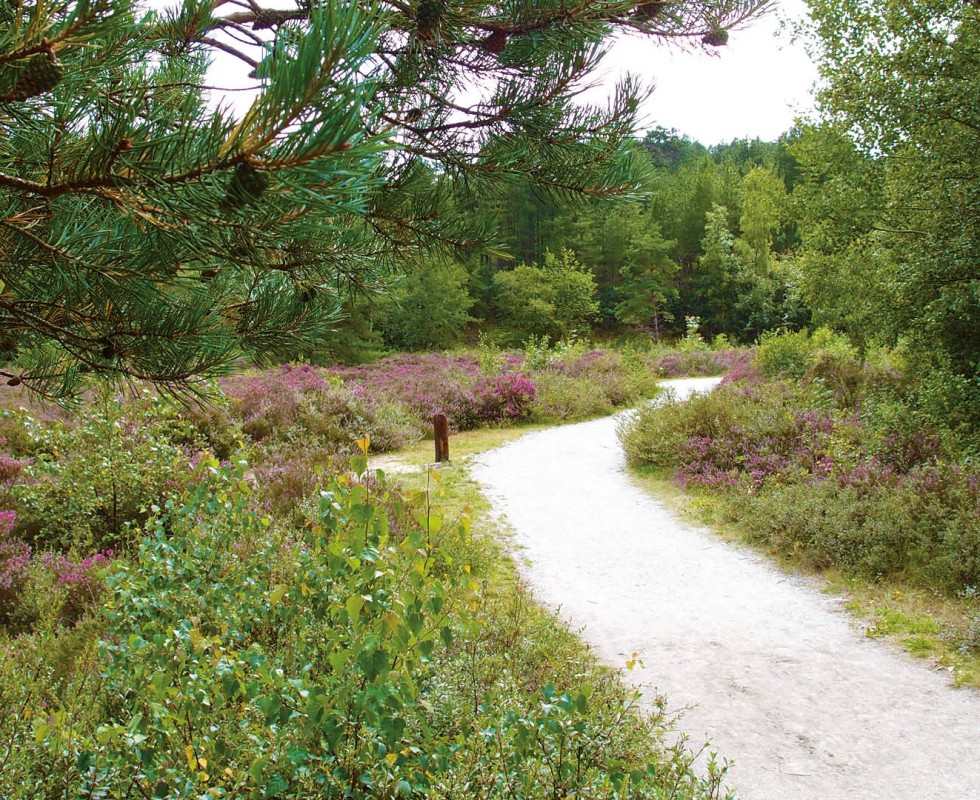 Stockfoto - De Egmonden(5).jpg